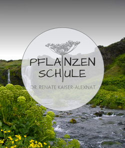 Pflanzenschule