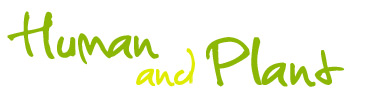 to the English portal website